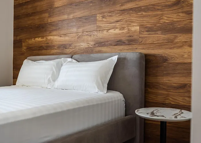 Skyline Free Parking By Pikhost *